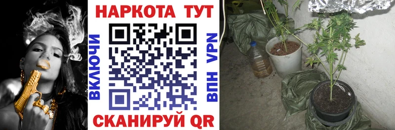 Наркота Бердск АМФ  Конопля  Мефедрон  ГАШ 