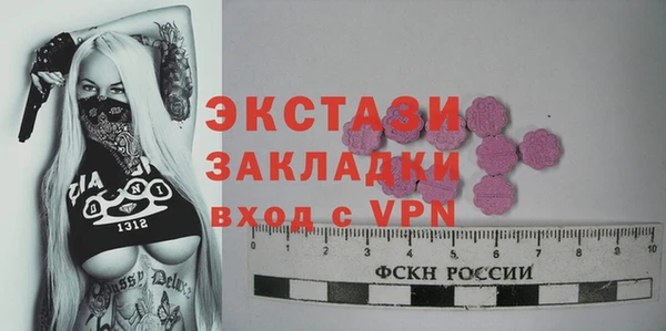 крисы Коряжма