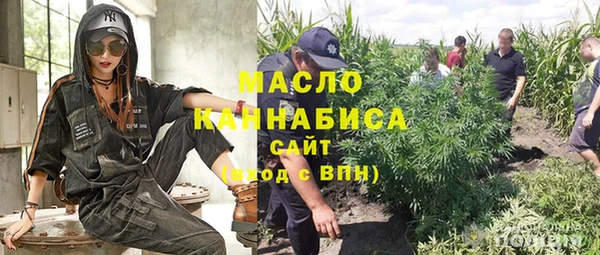 крисы Коряжма