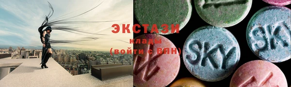 крисы Коряжма