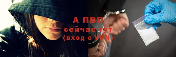 ешки Корсаков