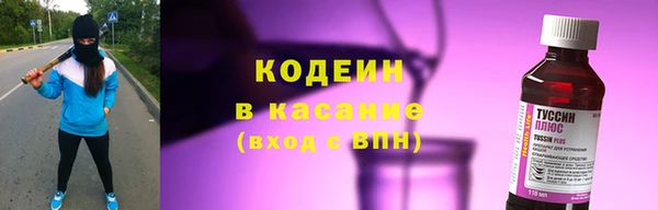 соль ск Кулебаки