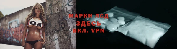 крисы Коряжма