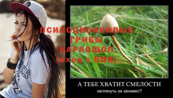 крисы Коряжма