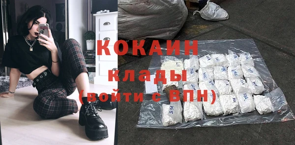 крисы Коряжма