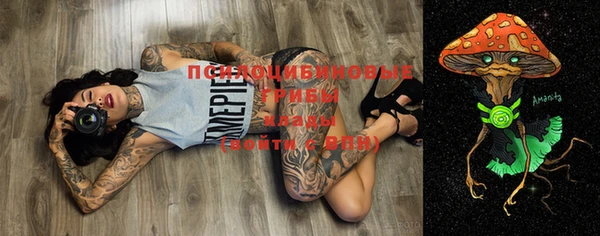 первитин Кукмор