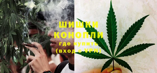 ешки Корсаков