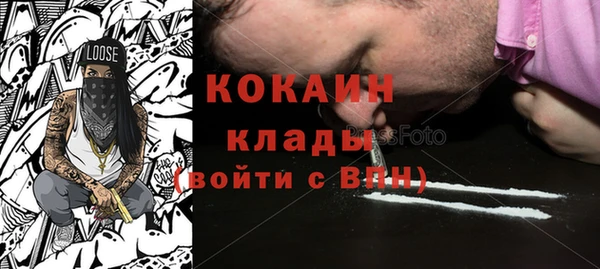 ешки Корсаков