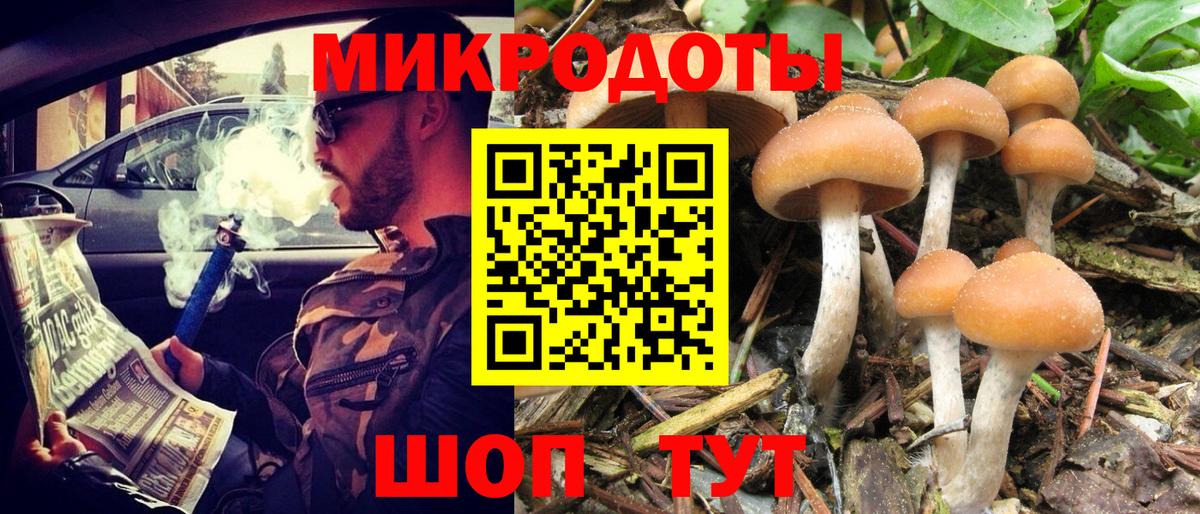 Галлюциногенные грибы мицелий Бердск