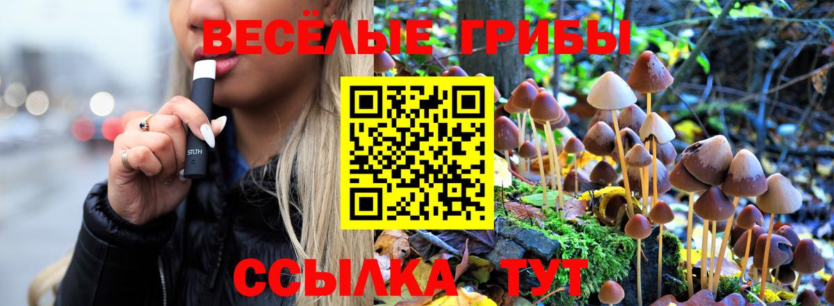 Псилоцибиновые грибы Cubensis  Вход с VPN  Бердск 