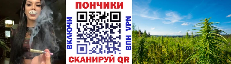 гидра зеркало  Бердск  Шишки марихуана план  наркота 