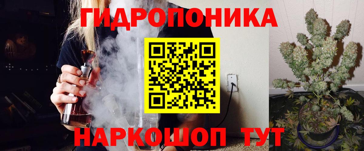 Конопля White Widow  Вход с VPN  Бердск  Бошки марихуана тримм 